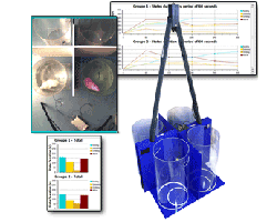 Bioseb's Automated Forced Swimming Test