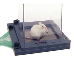 Bioseb's Advanced Weight Bearing