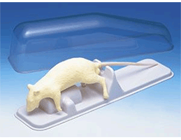 Bioseb's Automated Forced Swimming Test