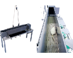 Bioseb's Kinetic Weight Bearing (KWB)
