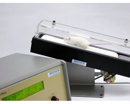 Bioseb\'s Treadmill - 1 mouse