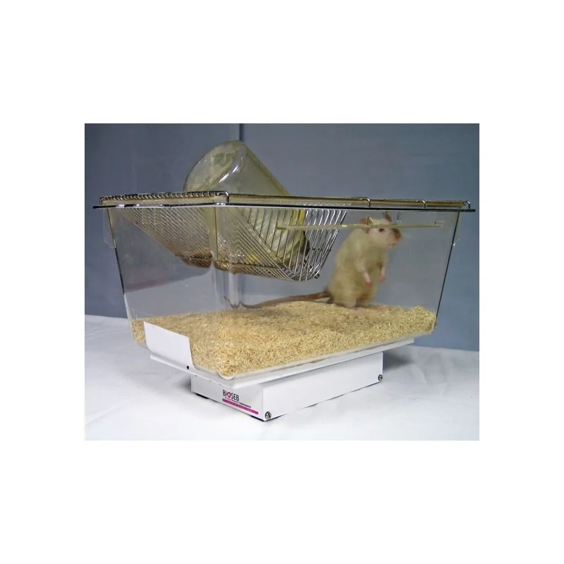 Bioseb\'s Activmeter with a rat - rearing Bioseb\'s Activmeter with a rat - rearing