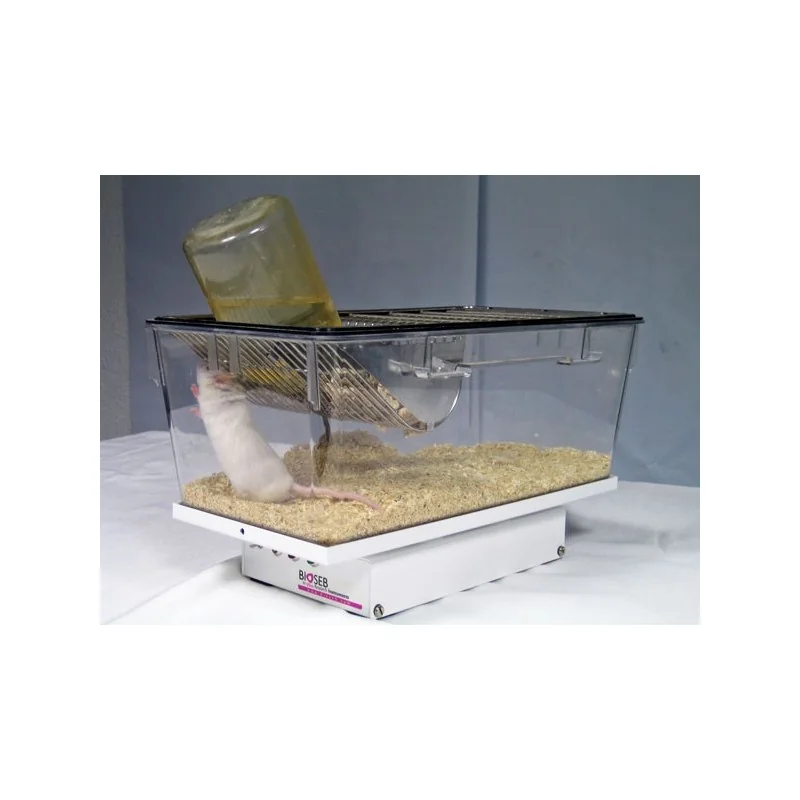 Bioseb\'s Activmeter with a mouse - rearing Bioseb\'s Activmeter with a mouse - rearing