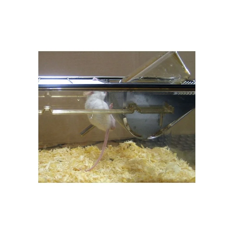 Bioseb\s Activmeter with a mouse - Detection while hanging under grid Bioseb\s Activmeter with a mouse - Detection while hanging under grid