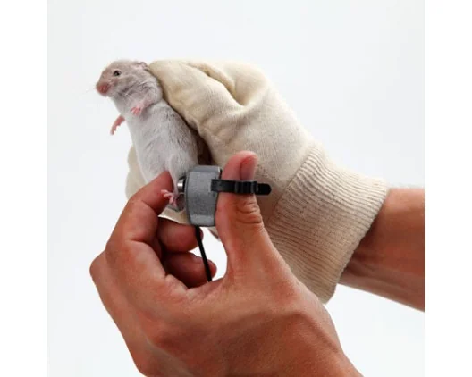 SMALGO: SMall animal ALGOmeter - On a mouse