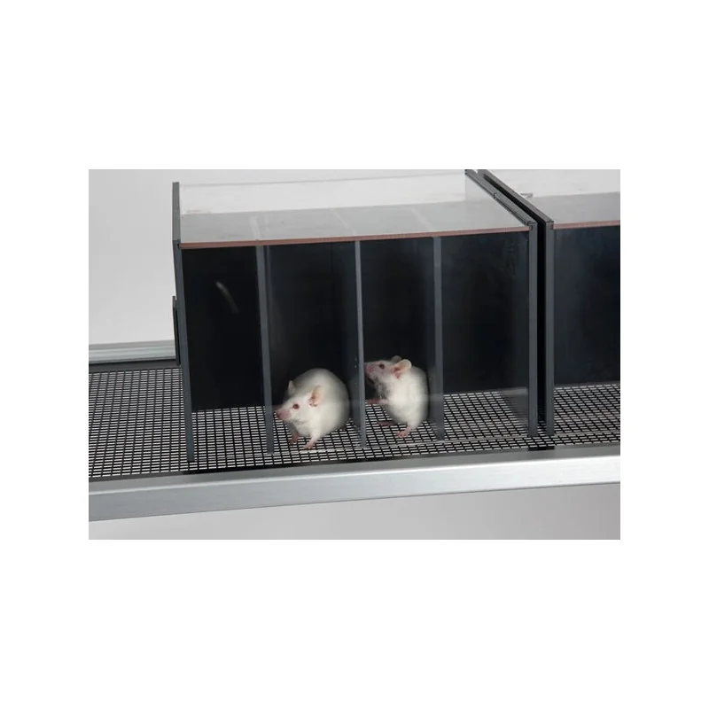Modular holder cages for rats and mice