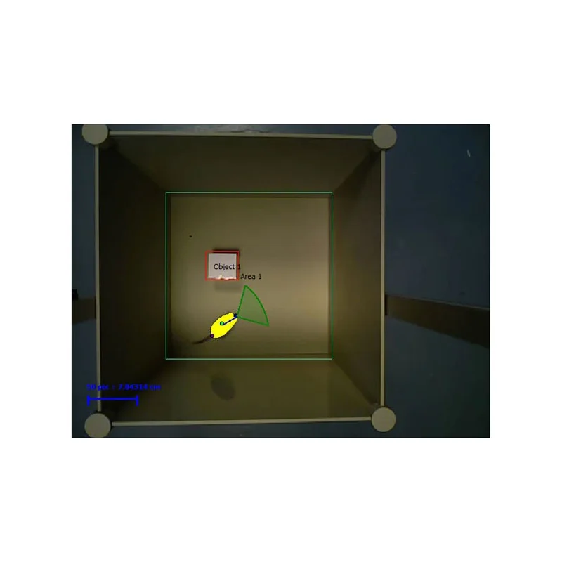  NORT3D - Novel Object Recognition Test 3D - Screenshot