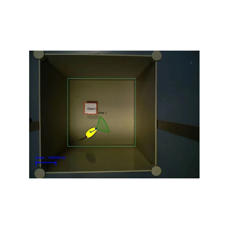 Novel Object Recognition Test 3D