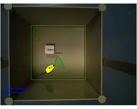  NORT3D - Novel Object Recognition Test 3D - Screenshot