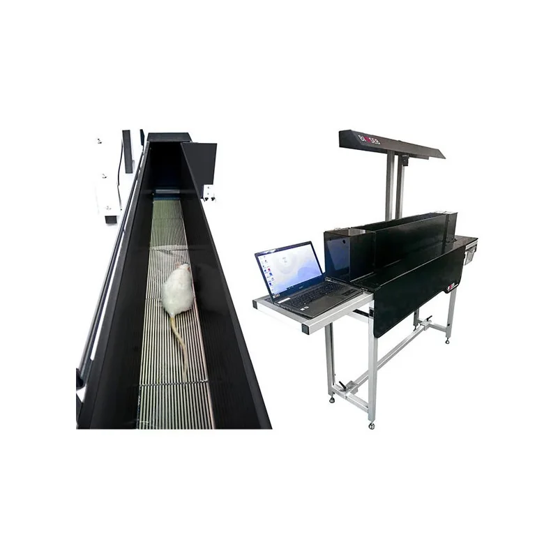 Kinetic Weight Bearing Kinetic Weight Bearing