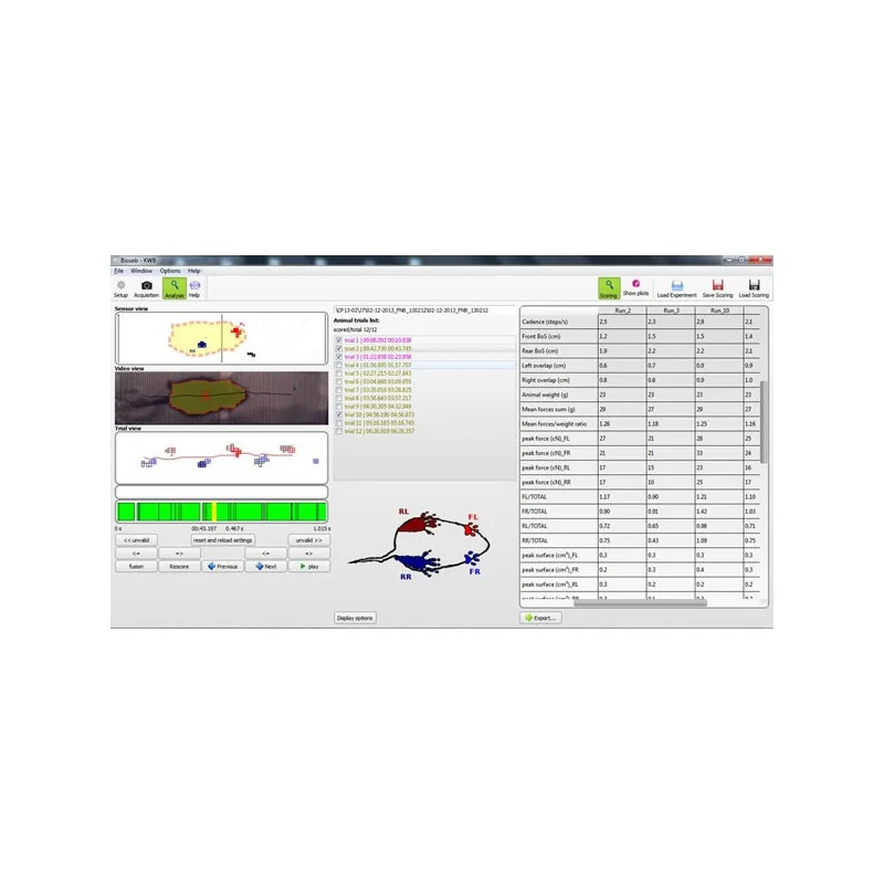 Bioseb\'s Kinetic Weight Bearing: KWB Software Screenshot Bioseb\'s Kinetic Weight Bearing: KWB Software Screenshot