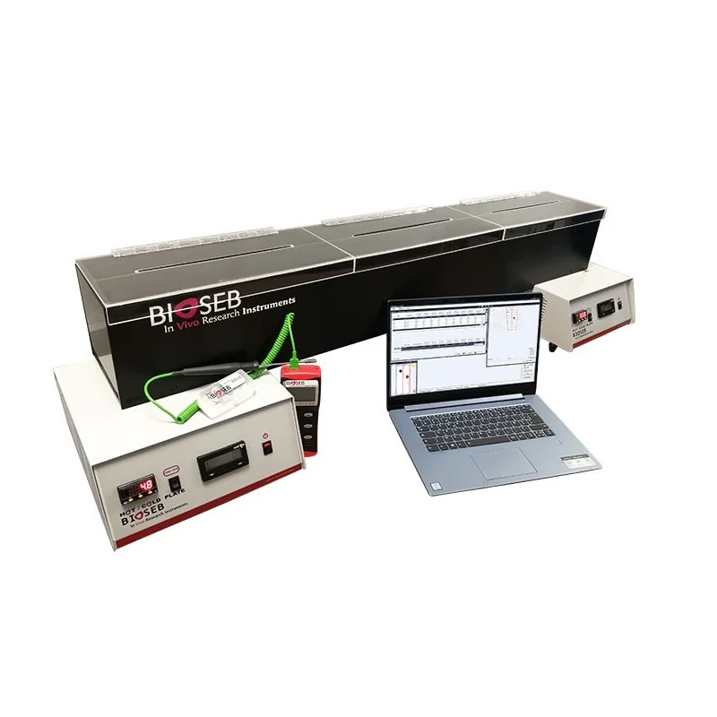 Hot/Cold Plate - Screening of Thermal Hyperalgesia/Allodynia