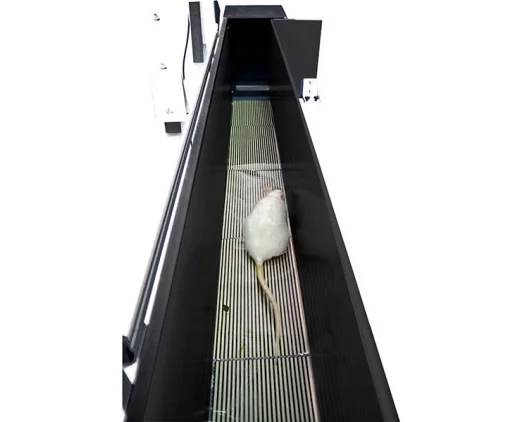 Bioseb\'s Kinetic Weight Bearing: System overview