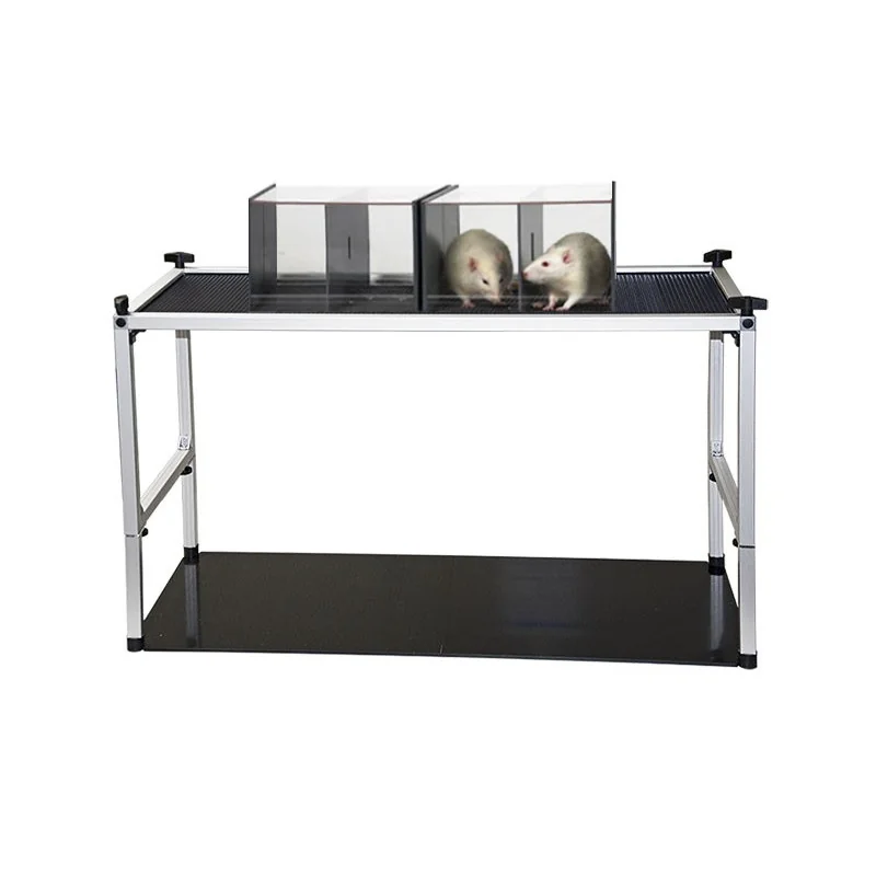 Elevated metal mesh stand for Von Frey test for mice and rats Elevated metal mesh stand for Von Frey test for mice and rats