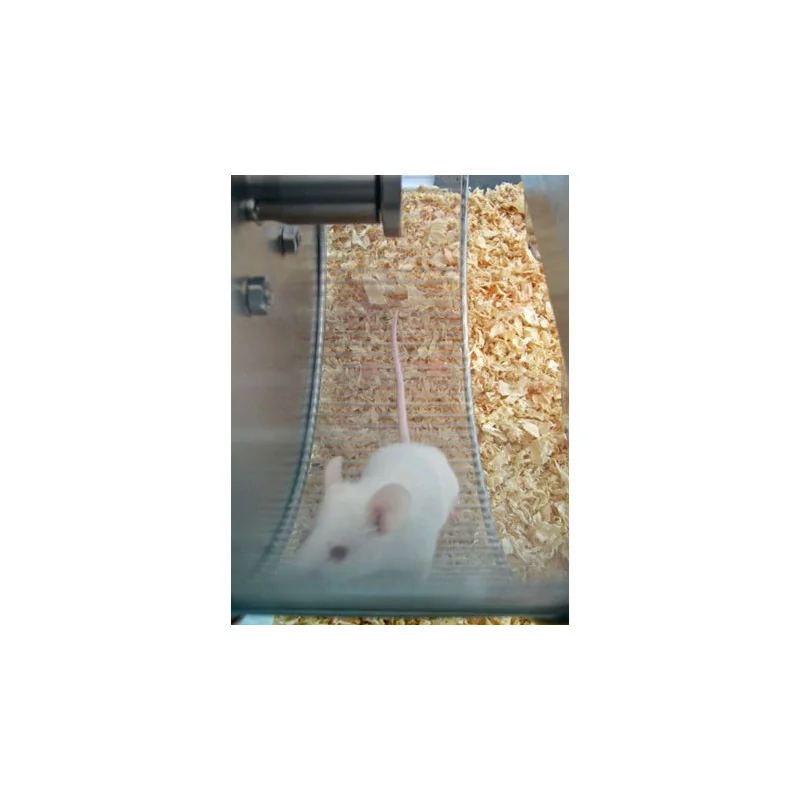 Bioseb\'s Activity Wheel: Rat in the wheel Bioseb\'s Activity Wheel: Rat in the wheel