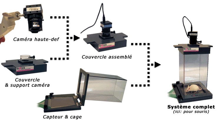 Nouveau Système de Distribution Pondérale Semi-Automatisé pour Rat et Souris, par Bioseb: caméra, couvercle, cage et animal