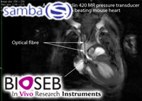Samba- measuring pressure in a beating mouse heart