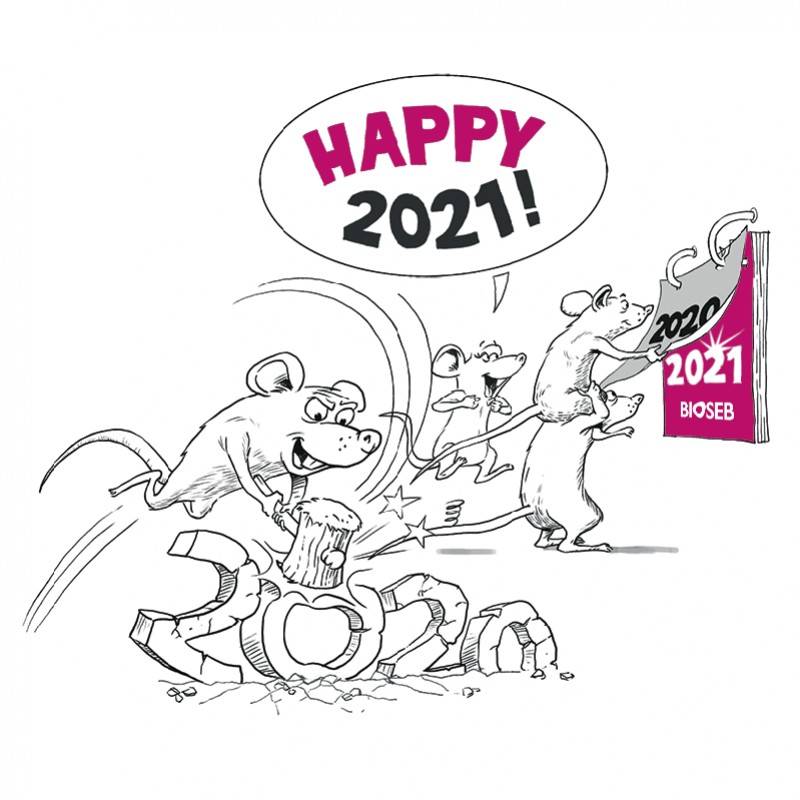 Bonne année 2021
