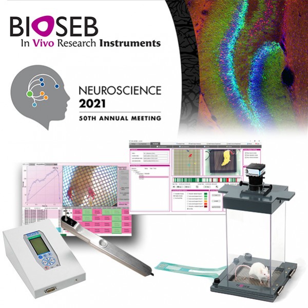 SFN 2021: Meet Bioseb on our Virtual Booth
